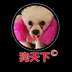 狗天下网 Dogworld